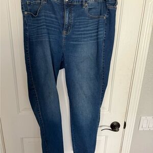 Torrid Women's Denim Skinny Jeans